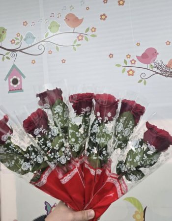 557592655_122167232168790850_7822182309691673367_n